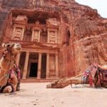 Camels resting in front of the Treasury at Petra, Jordan