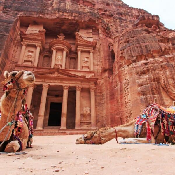 Camels resting in front of the Treasury at Petra, Jordan