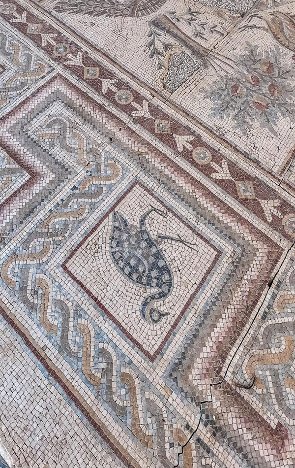 Madaba (9)