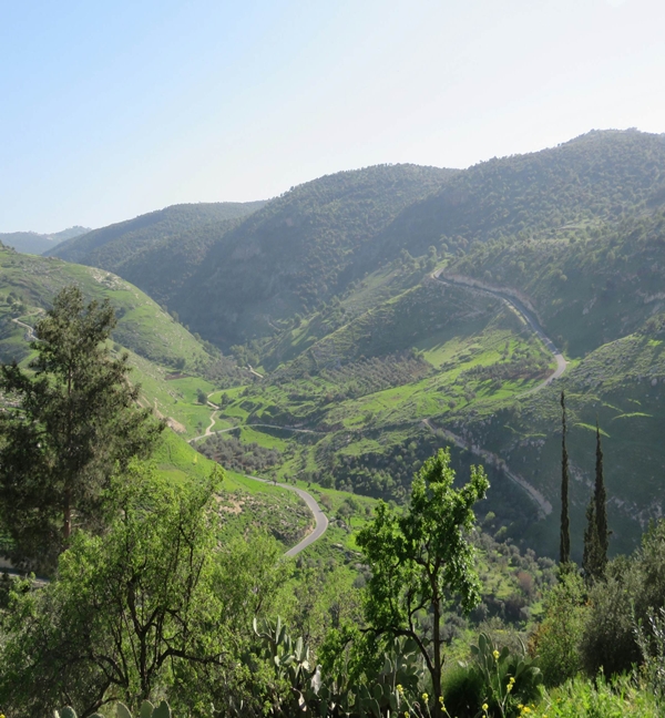 Ajloun Castle Jordan
