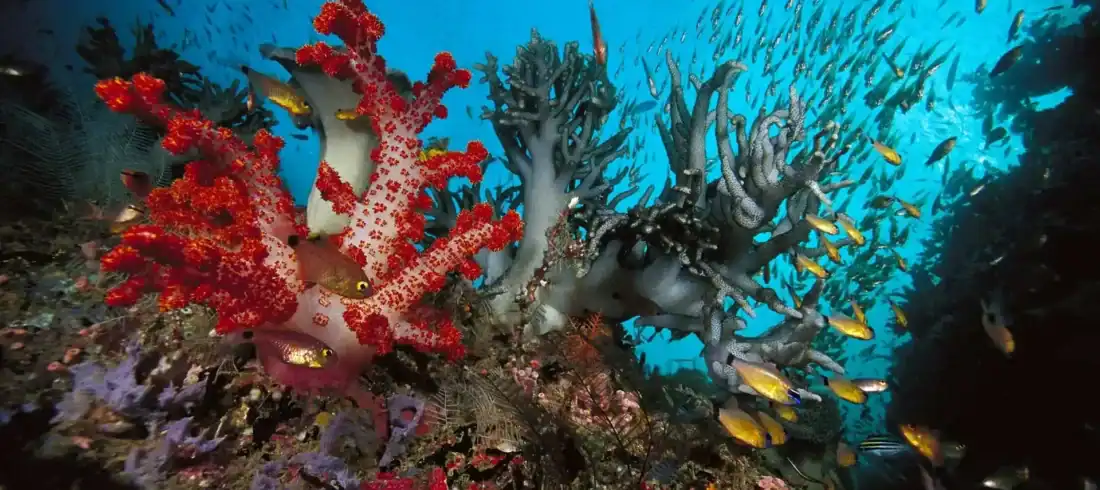 Двенадцатидневный маршрут по Иордании и побережью Акабы